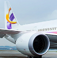 金鹿公务 (Deer Jet) Logo