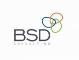 BSD consulting Co.Ltd. Logo