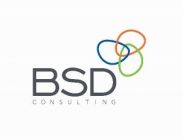 BSD consulting Co.Ltd. Logo