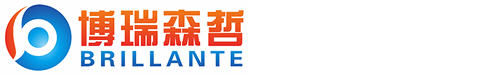 博瑞森哲猎头公司 Logo