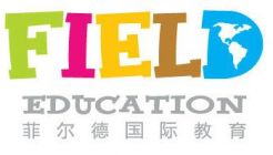 Future consulting ltd. company Logo