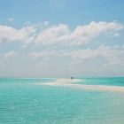 圣约翰国际外语 Logo