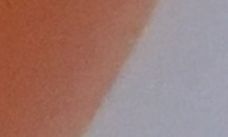 安凯（深圳）教育科技有限公司 Logo