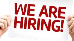 Wisdom training center Logo