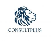 Shanghai HuangYi Logo