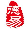 D.E. Consulting Logo