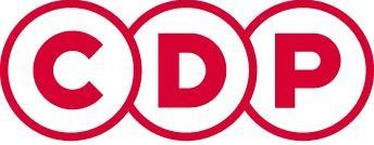 CDP Group Co,Ltd Logo