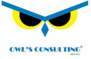 Owl's Consulting Logo