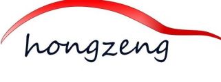 Shanghai Hongzeng Information Technology Co., Ltd. Logo