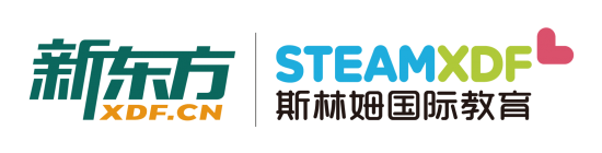 STEAM INTERNATIONAL EDUCATION Logo