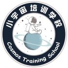 Cosmos Training School Logo
