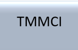 The MissionMarch Consulting Inc Logo