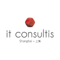 IT Consultis Logo