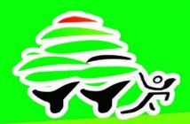 森林教育集团 Logo