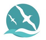 Oulang international consulting Logo