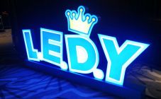 Ledy international English Logo