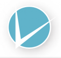 Vertical Web Solutions Logo