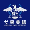 American Eagle Institute Logo