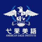 American Eagle Institute Logo