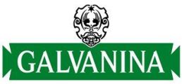 Galvanina Italia SPA Logo