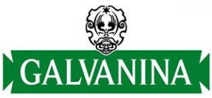 Galvanina Italia SPA Logo