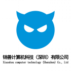 Shenzhen Computer Technology (Shenzhen) Co., Ltd. Logo