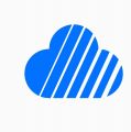 Skycoin Logo