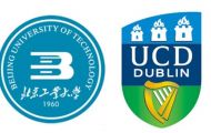 Beijing Dublin International College Logo