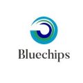 Taizhou Bluechips Apparel Co., Ltd Logo