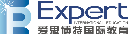 Expert Logo