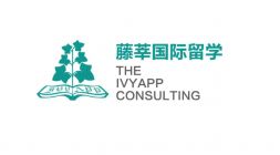 上海藤莘信息科技咨询有限责任公司 Logo