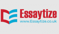 Essaytize Logo