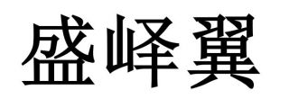 Xiamen Shengyi Yi study abroad Service Co., LTD Logo