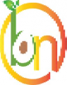 brahmvishnature Logo
