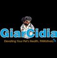GiarCidia Logo
