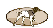 All About Canine Care Logo