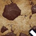 cookie clicker 76 Logo