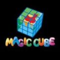 Magic Cube International Logo