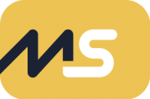 MS Monitoring Systems Logo