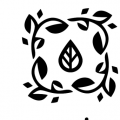 北京创世奇特贸易有限公司 Logo
