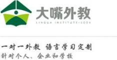 上海大嘴商务咨询有限公司 Logo